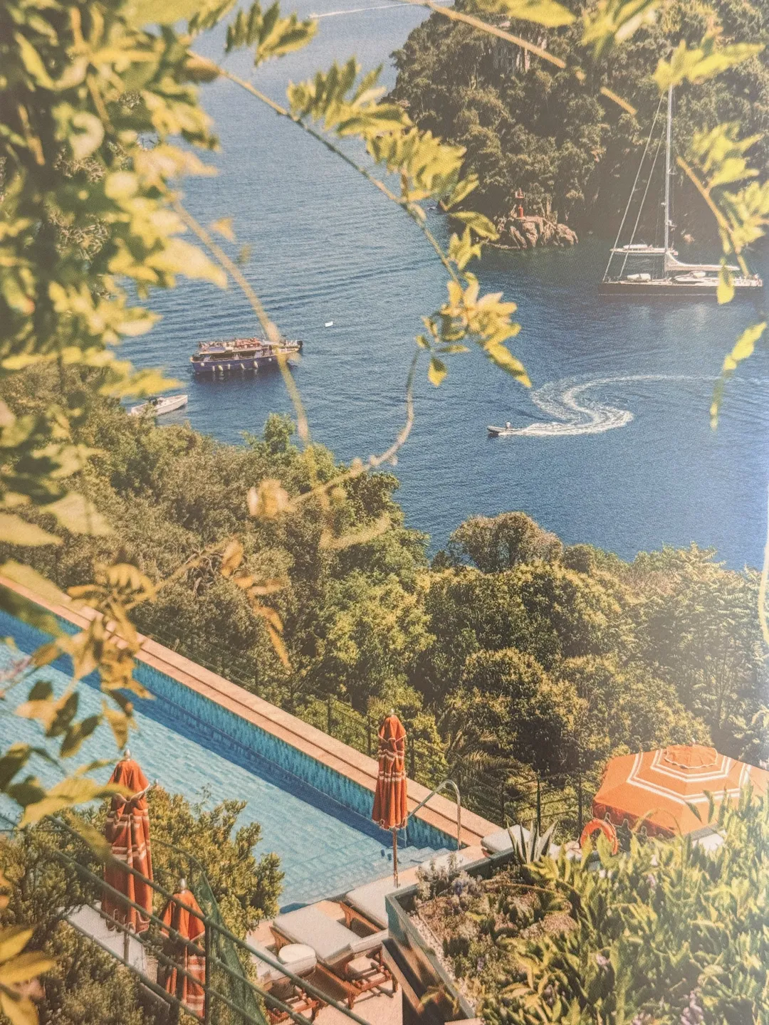 Pool and yacht-filled bay framed by pine trees