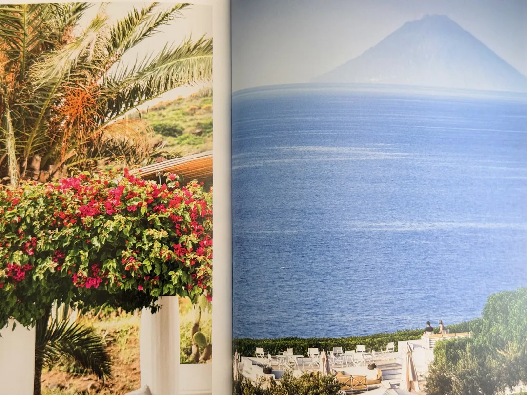 Bougainvillea framing a calm sea with a volcanic island on the horizon