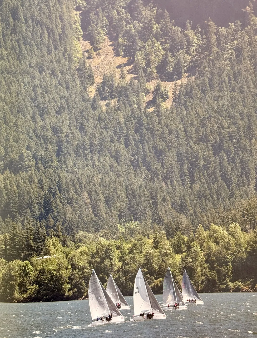 Small racing dinghies beneath a forested hillside
