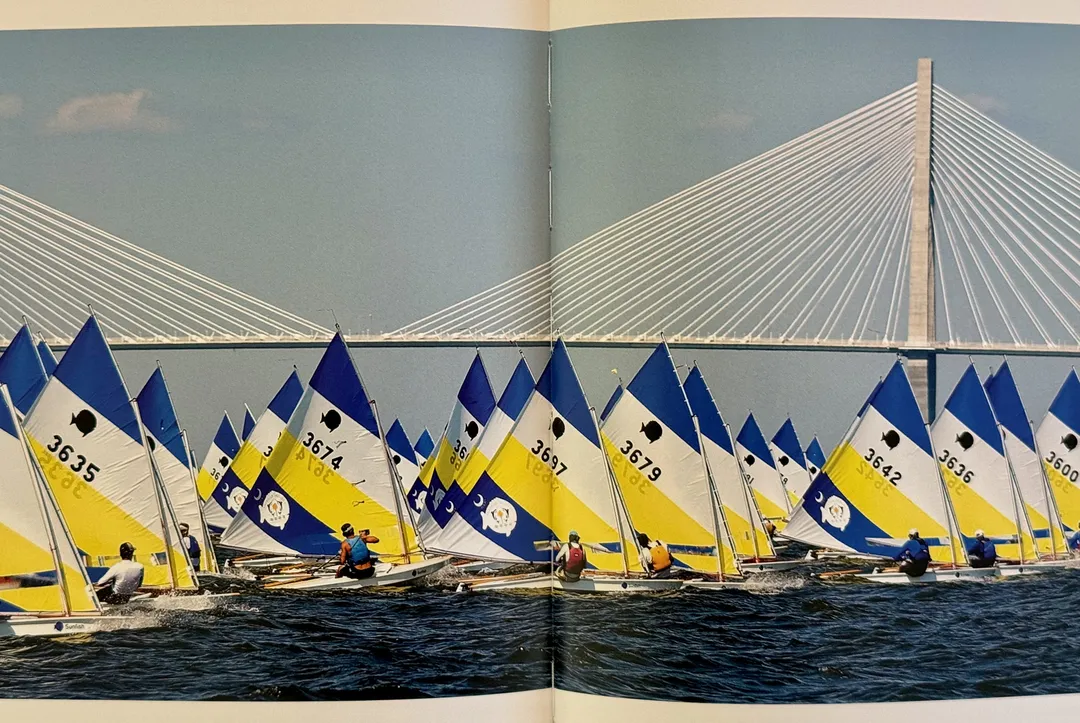 Fleet of dinghies with blue-and-yellow sails racing beneath a cable-stayed bridge