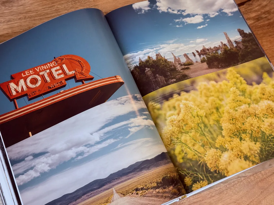Retro motel sign, desert sky and yellow wildflowers