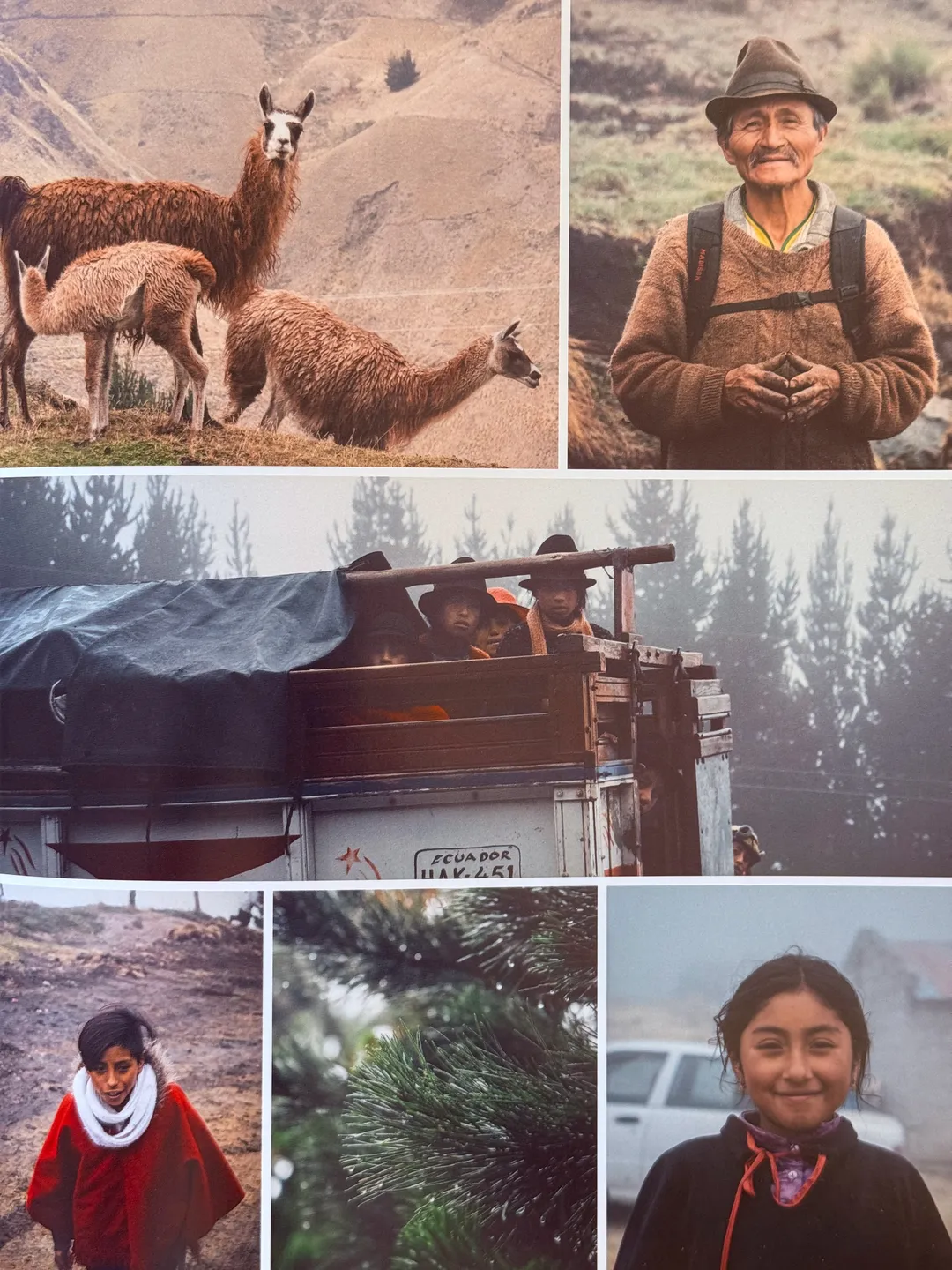 Llamas, a smiling farmer and children in the Andes